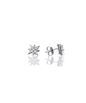 Earrings SE548