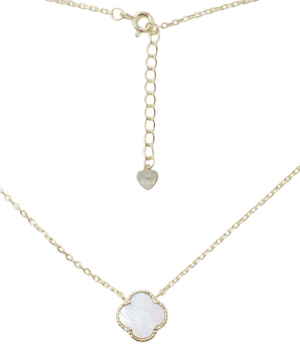 Silver necklace «SiaMoods» SN151WGP