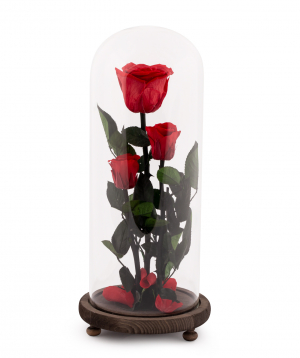 Roses `EM Flowers` eternal red 33 cm in a flask