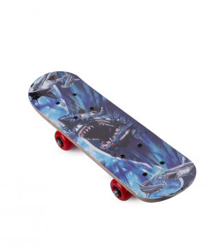 Skateboard PE-21221 №5
