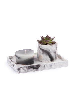 Plant ''Eco Garden'' succulent and candle №2