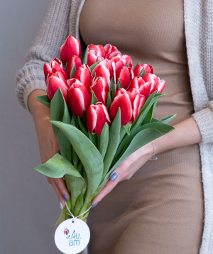 Tulips ''Baghramyan Varder'' pink, 19 pcs