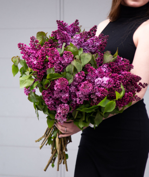 Bouquet «Baghramyan» with lilacs, 3 bunches