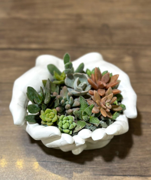 Растение «Greenarium» №52