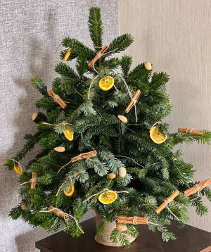 Christmas tree composition «Punj» №52 with natural fir branches