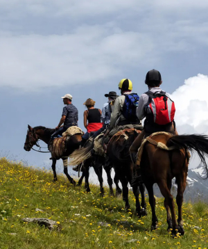 Buggy tour «Dilijan Adventures» Horse Riding, 3 people