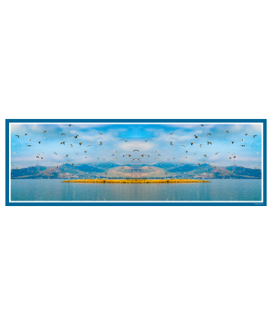 Scarf «Seagulls of Sevan» 160 x 50 cm