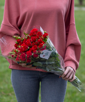 Кустовые розы «Атенс» красные, 50 см