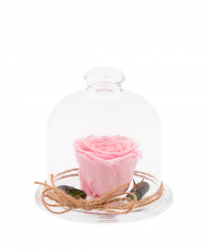 Rose `EM Flowers` eternal pink 10 cm in a flask
