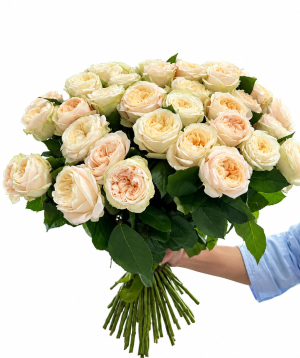 Peony rose «Harmony Flowers» cream, 70 cm, 29 pcs