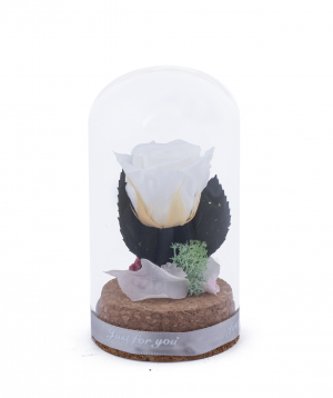Rose `EM Flowers`mini eternal white 10 cm