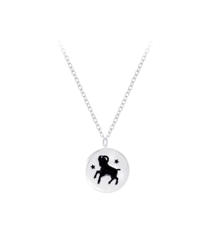Silver necklace «SiaMoods» SN250AR