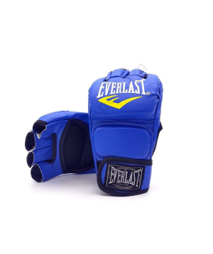Mixed martial arts gloves «Everlast» blue