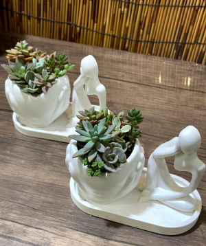 Plant `Greenarium` №47