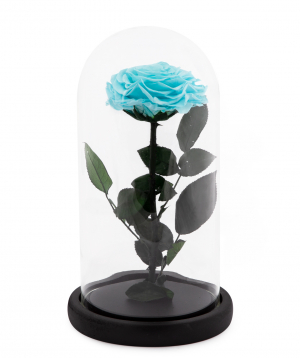 Rose `EM Flowers` eternal light blue 27 cm in a flask