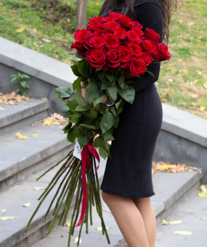 Эквадорские розы «Explorer» красные 25 шт