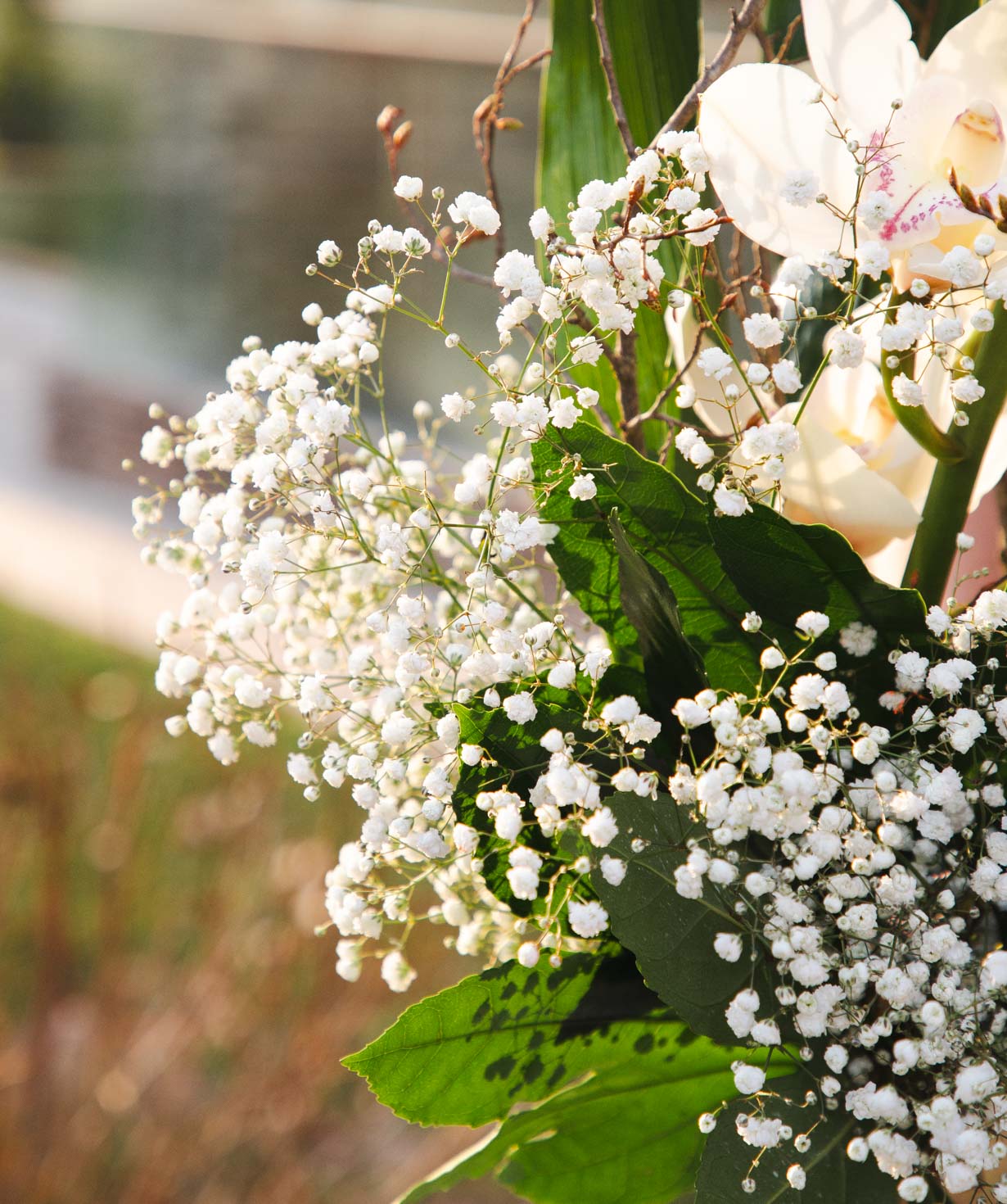 Bouquet «Jarvis» with orchids and gypsophilas