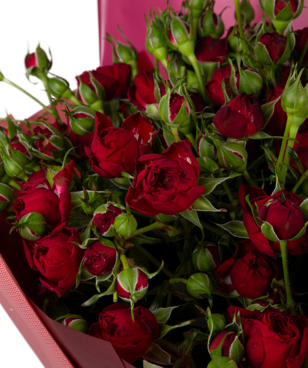 Ծաղկեփունջ «Ապիա» փնջային վարդերով