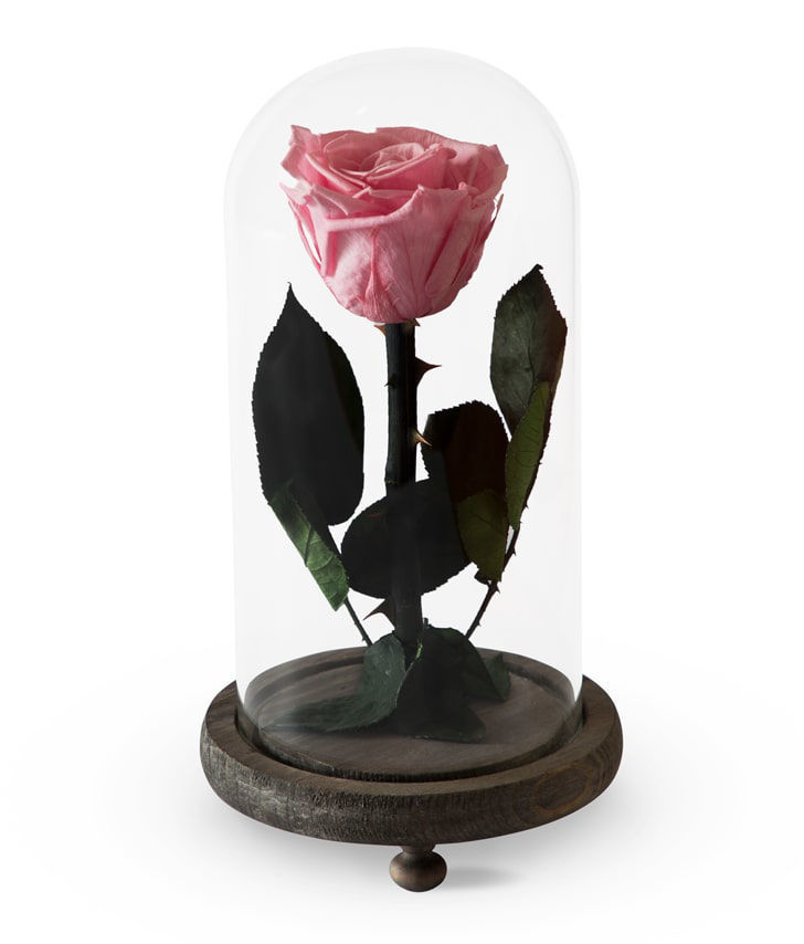 Роза `EM Flowers` вечная розовая 23 см