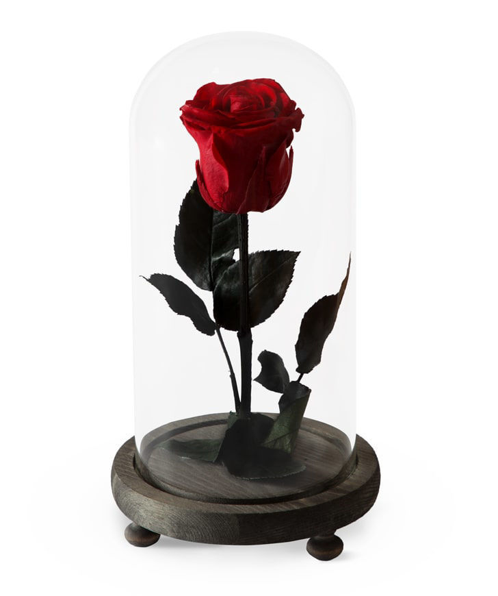 Роза `EM Flowers` вечная красная 23 см