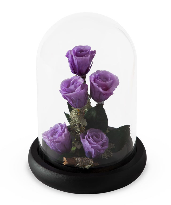 Розы `EM Flowers` вечные фиолетовыe 17 см
