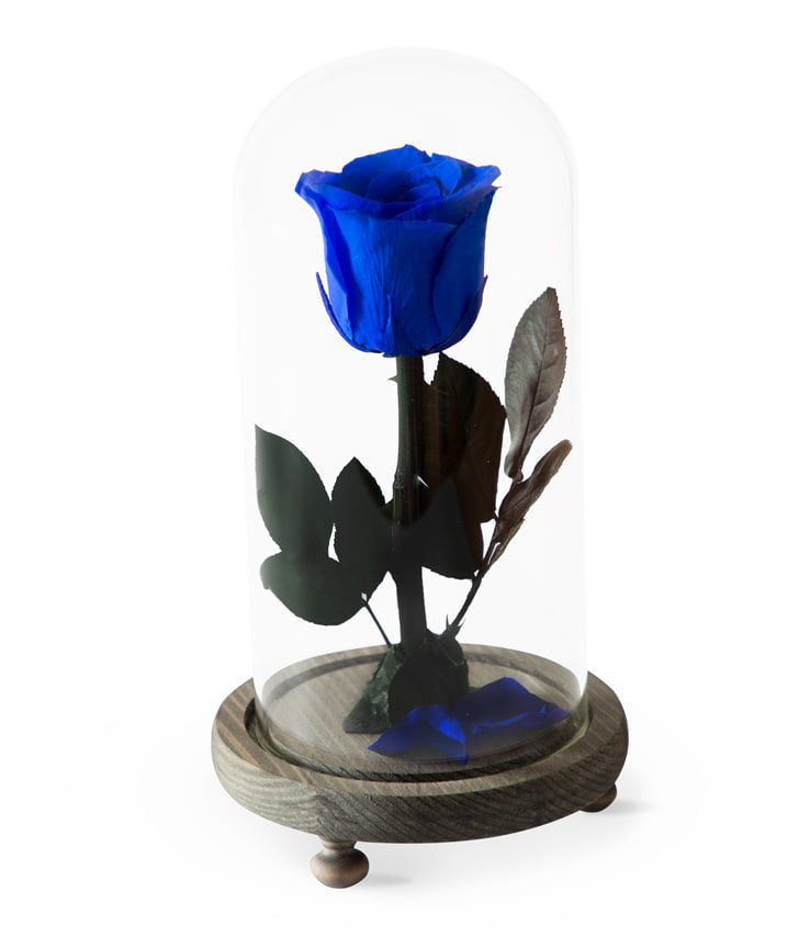 Роза `EM Flowers` вечная темно-синяя 23 см
