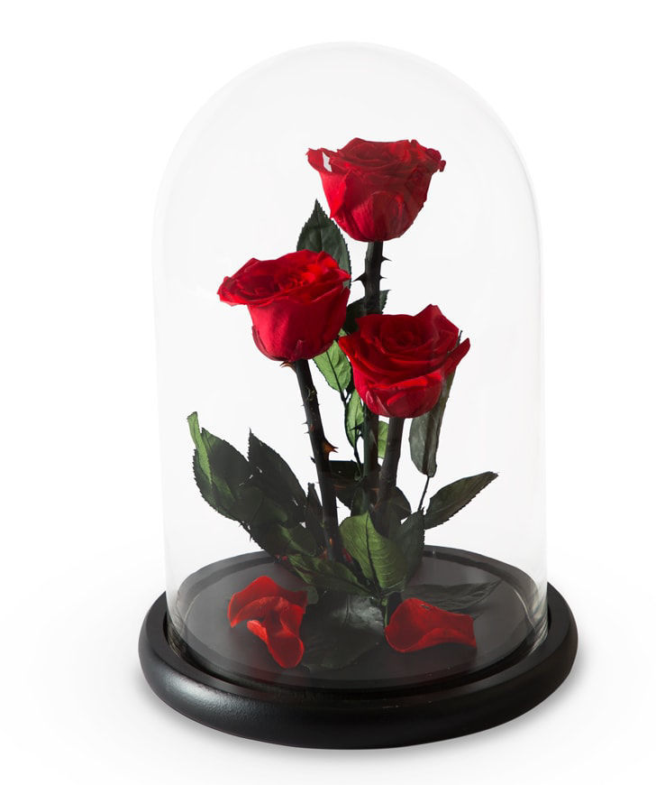 Roses `EM Flowers` eternal red 33 cm