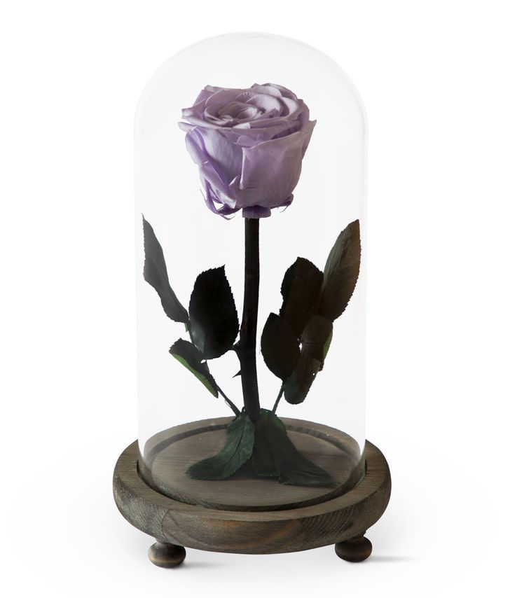 Роза `EM Flowers` вечная фиолетовая 23 см