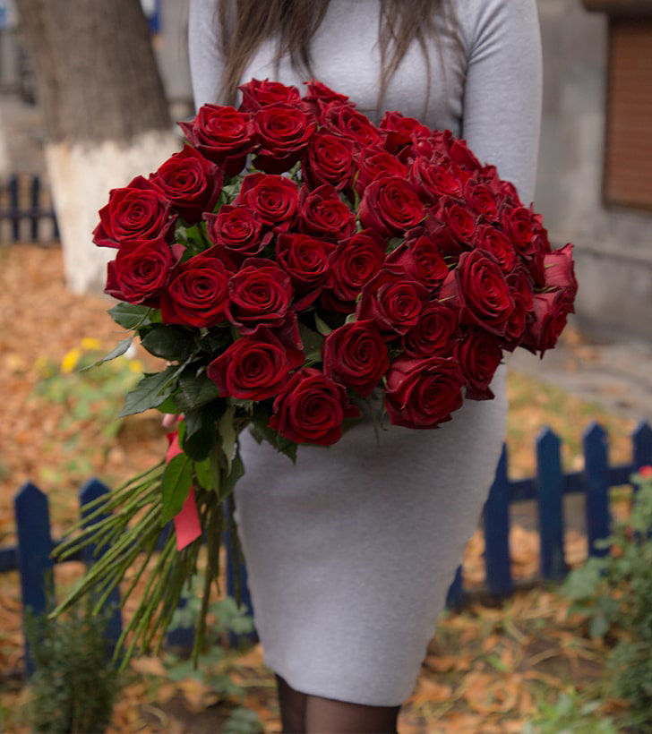 Վարդեր «Բլեք Մեջիք» կարմիր 51 հատ