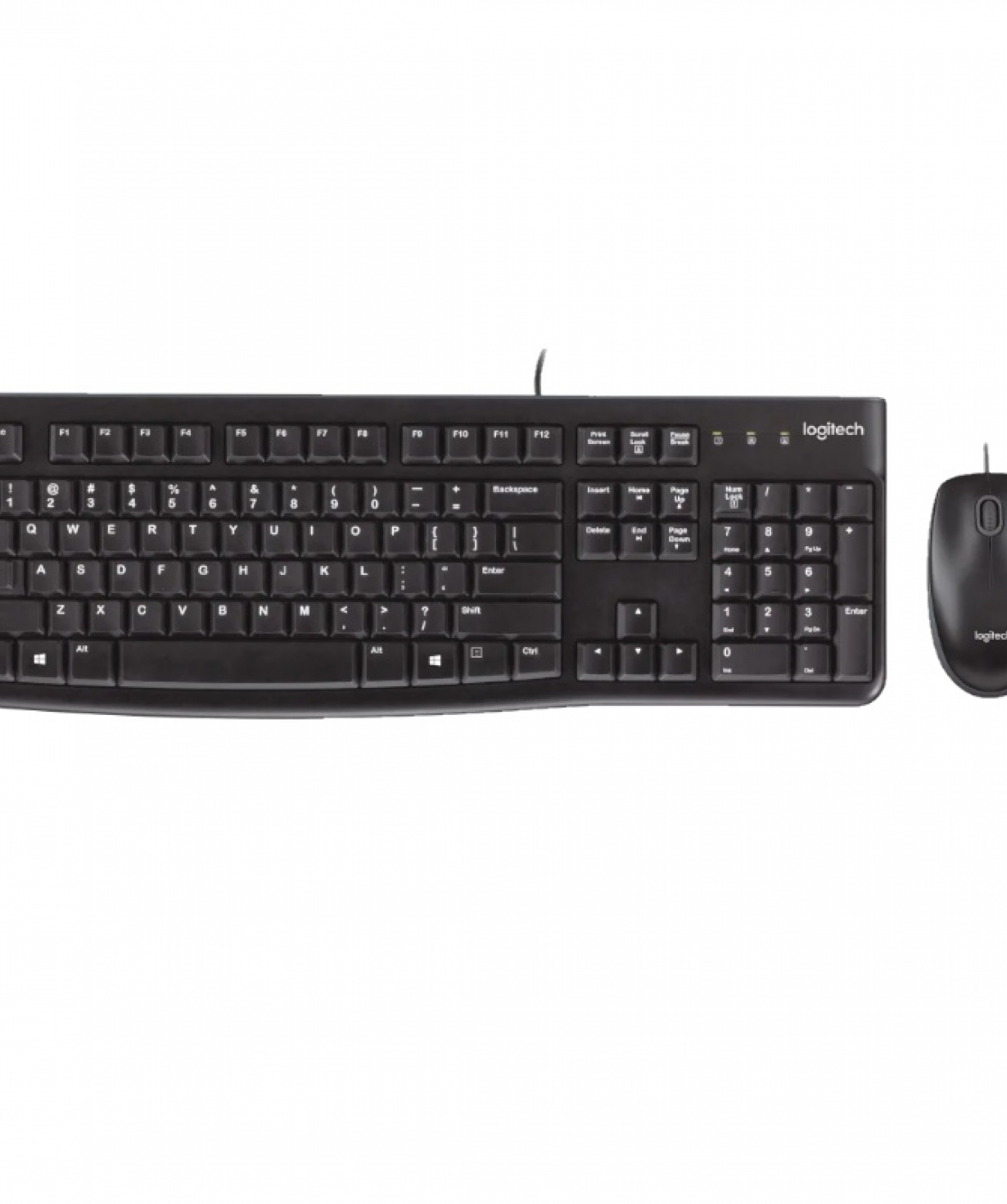 Keyboard and mouse «Logitech» MK120 (L920-002561)
