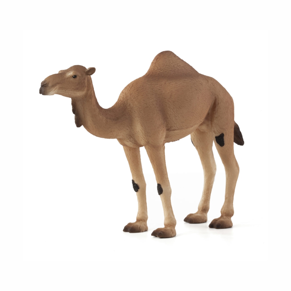 Toy `MOJO` Arabian camel
