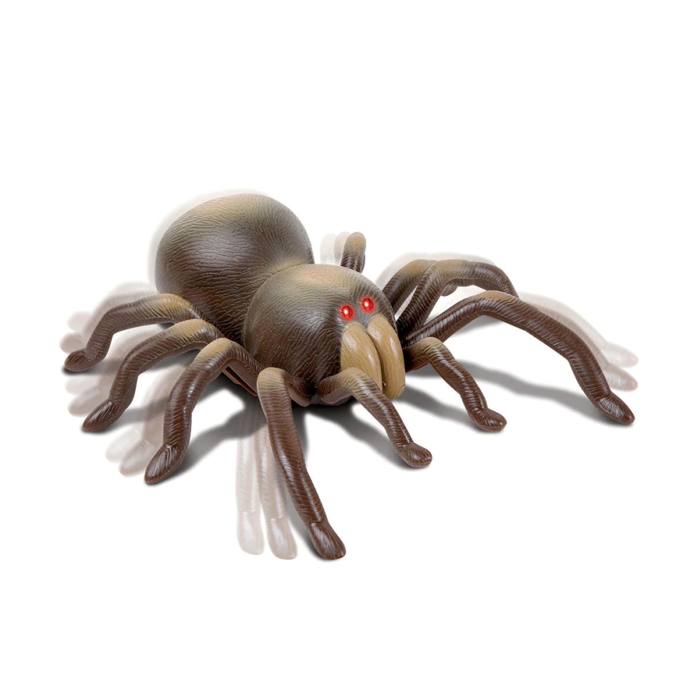 Remote controlled toy `DISCOVERY` solifugae