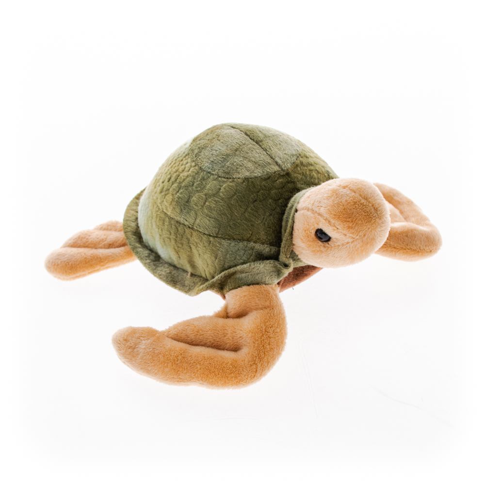 Plush tortoise