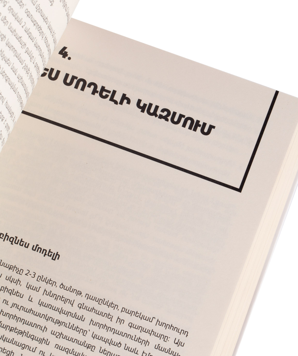 Your Own Business in Armenia (soft cover)