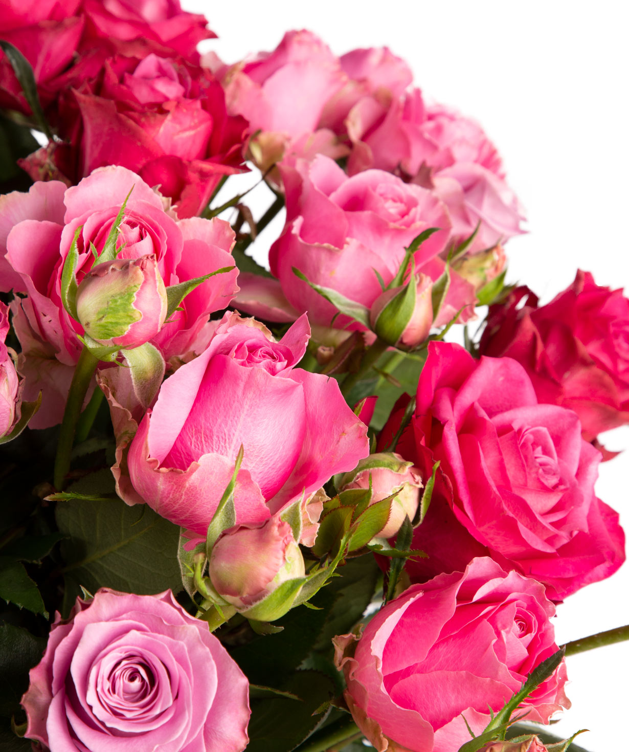 Ծաղկեփունջ «Աննապոլիս» փնջային և հոլանդական վարդերով