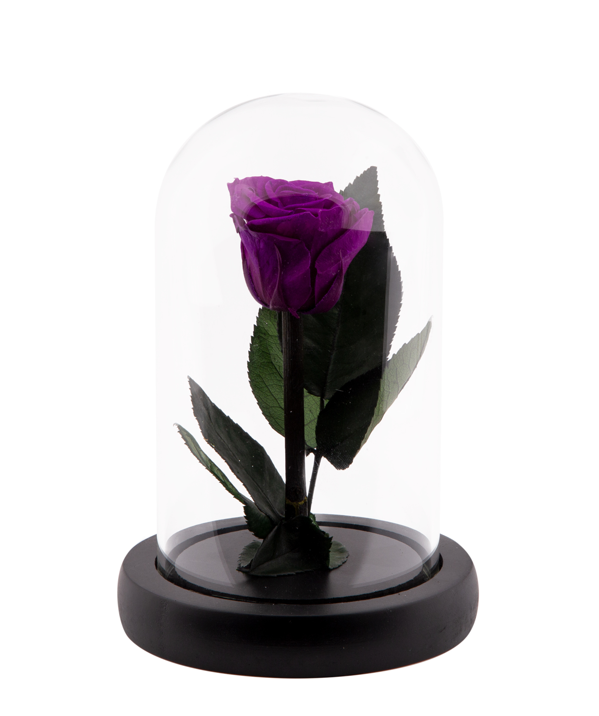 Роза `EM Flowers` вечная темно-фиалетовая 13 см в колбе