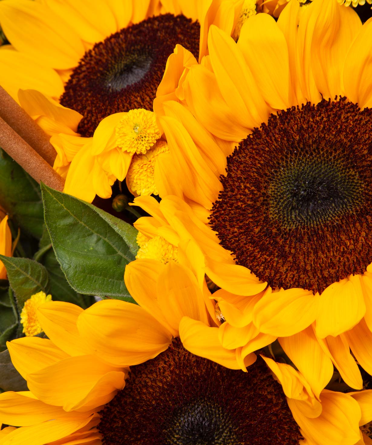 Bouquet «Punk Flowers» №2