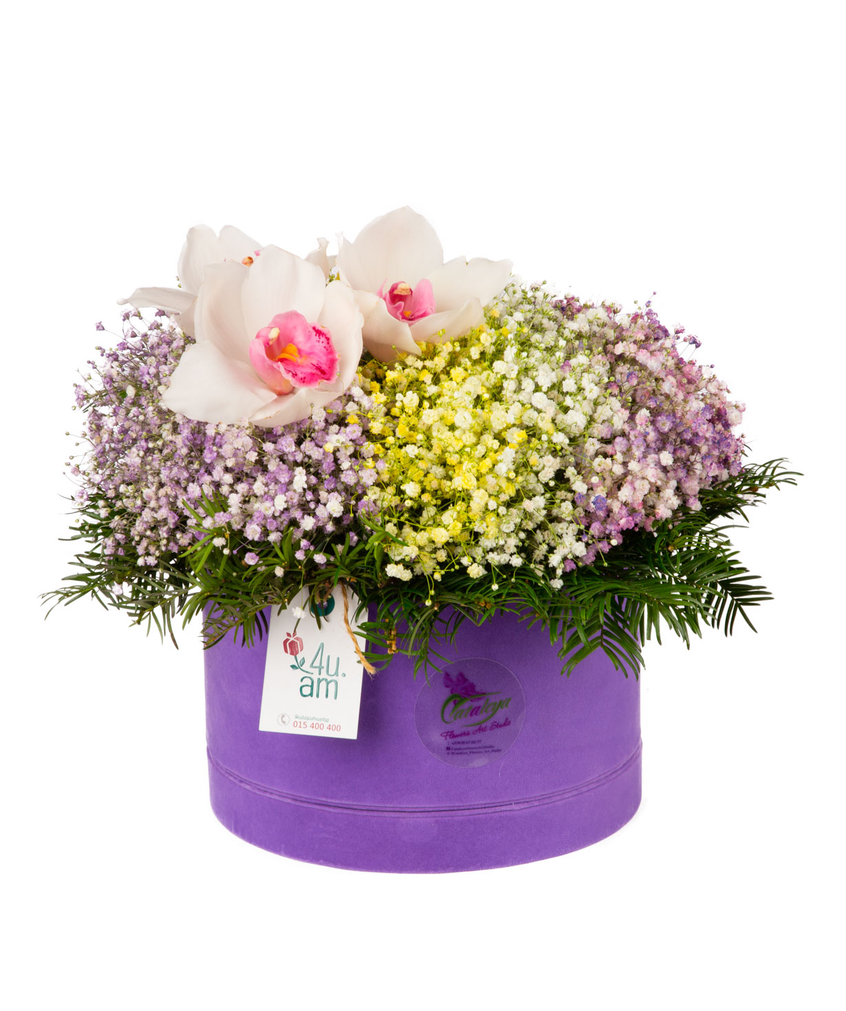 Композиция `Линц` с орхидеями и гипсофилой (засушенные цветы)