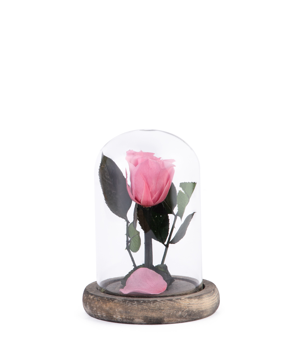 Роза `EM Flowers` вечная 12 см розовая