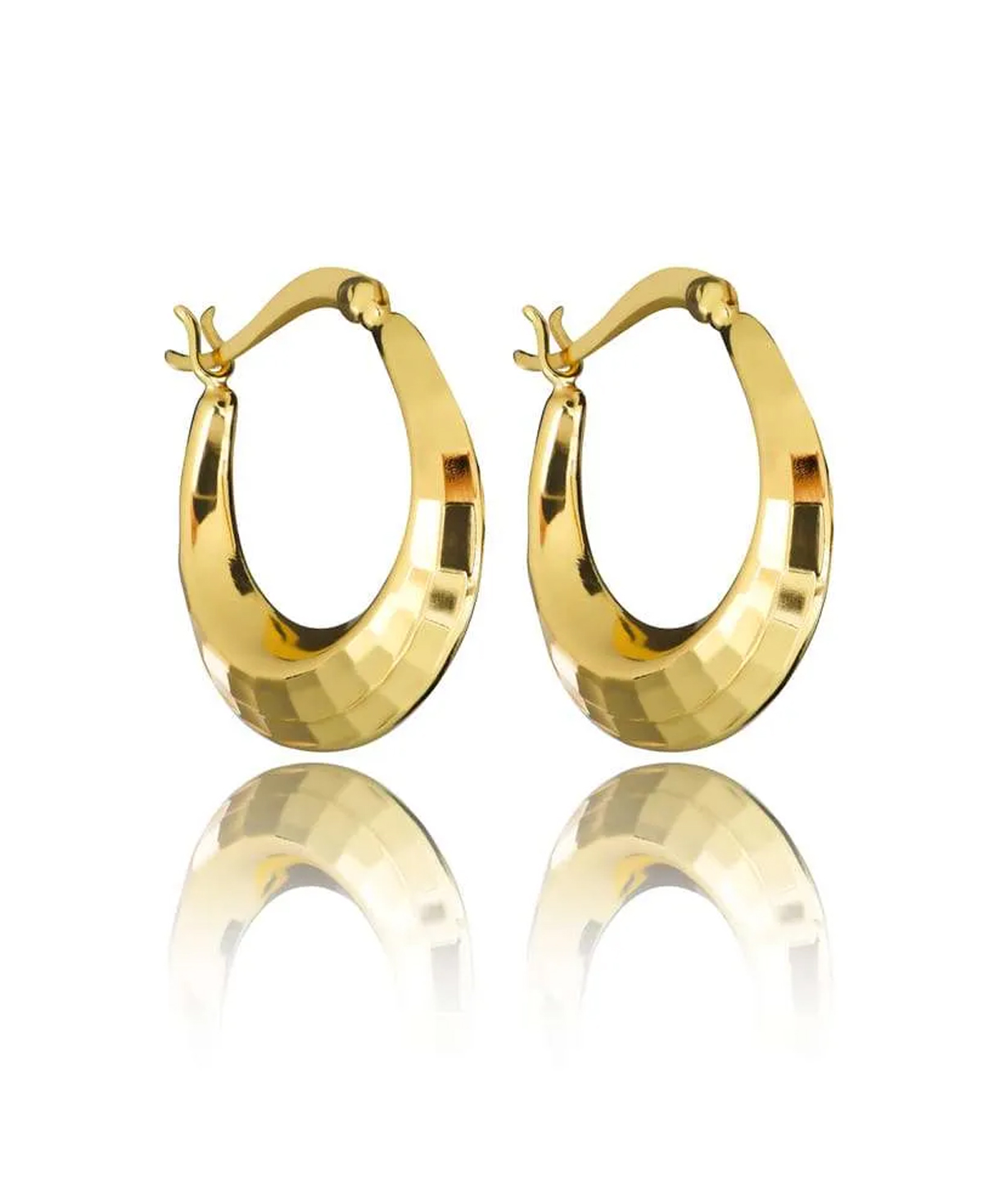 Silver earrings «SiaMoods» SE853GP