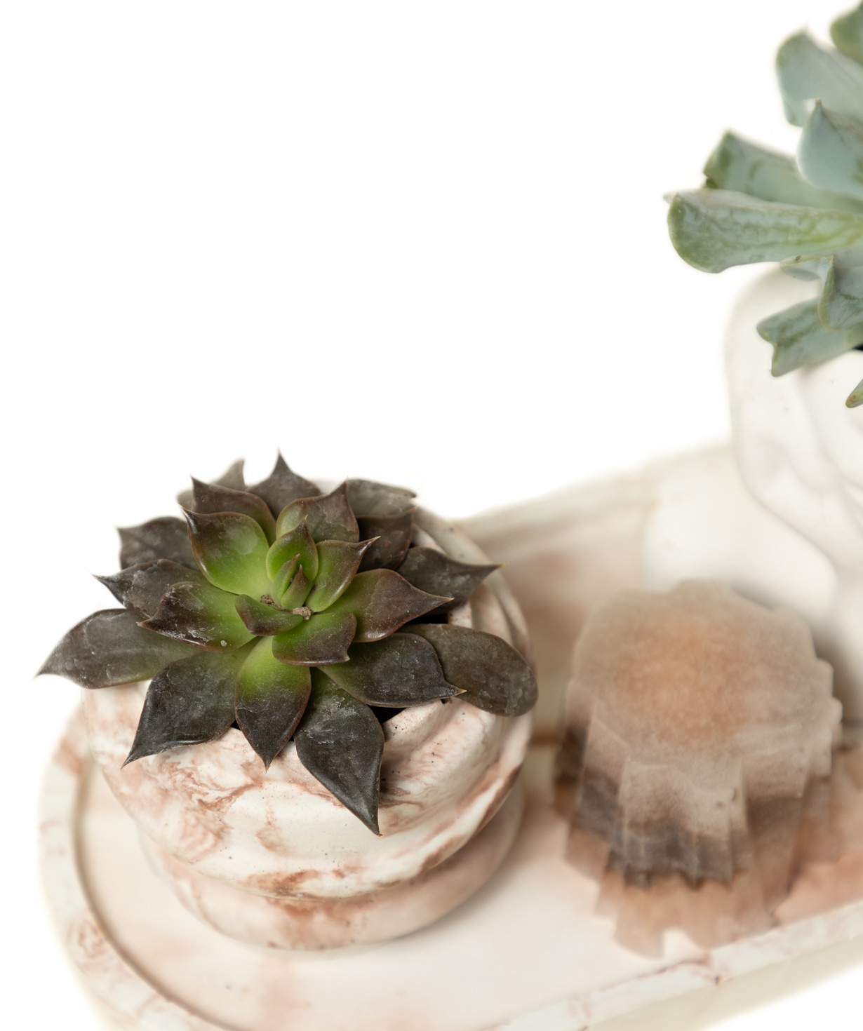 Gift set «Eco Garden» plant and candle №82