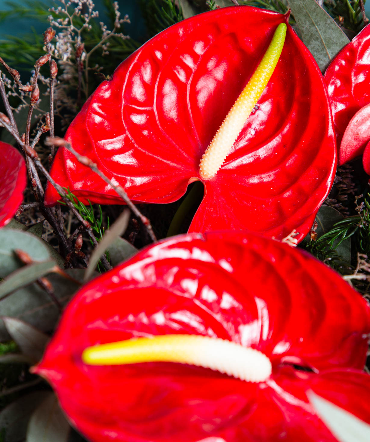 Bouquet «Faisanes» with anthuriums