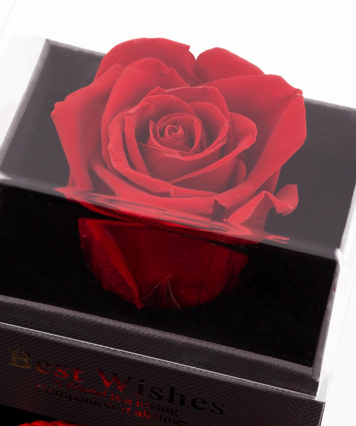 Роза `EM Flowers` вечная красная с талисманом