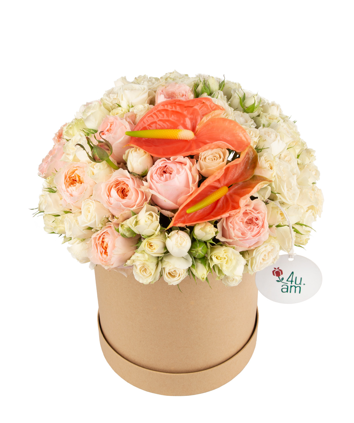Composition `Colombo` with bush and peony roses, with anthurium