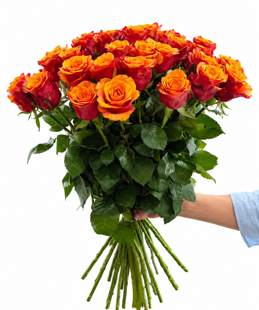 Rose «Harmony Flowers» red-orange, 70 cm, 29 pcs