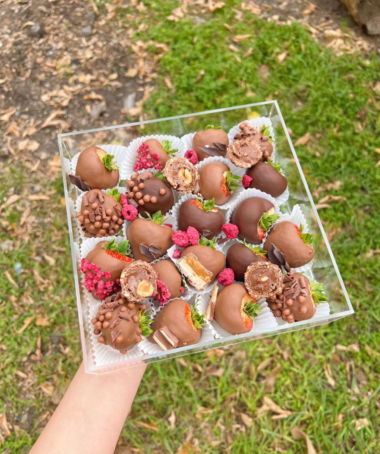 Chocolate-covered strawberries «favoritecake» 20 pcs