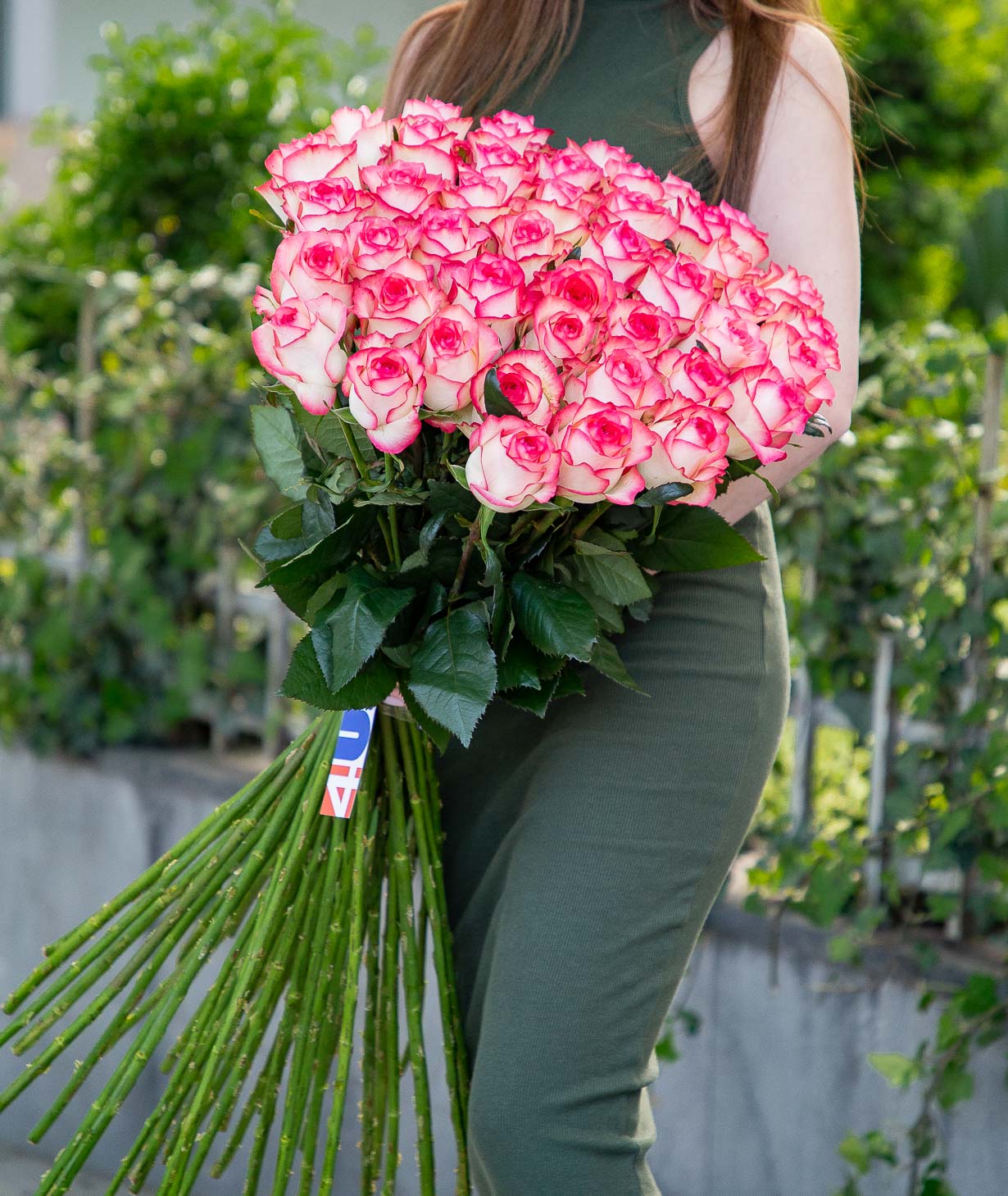 Розы «Jumilia» розовые 41 шт, 80 см