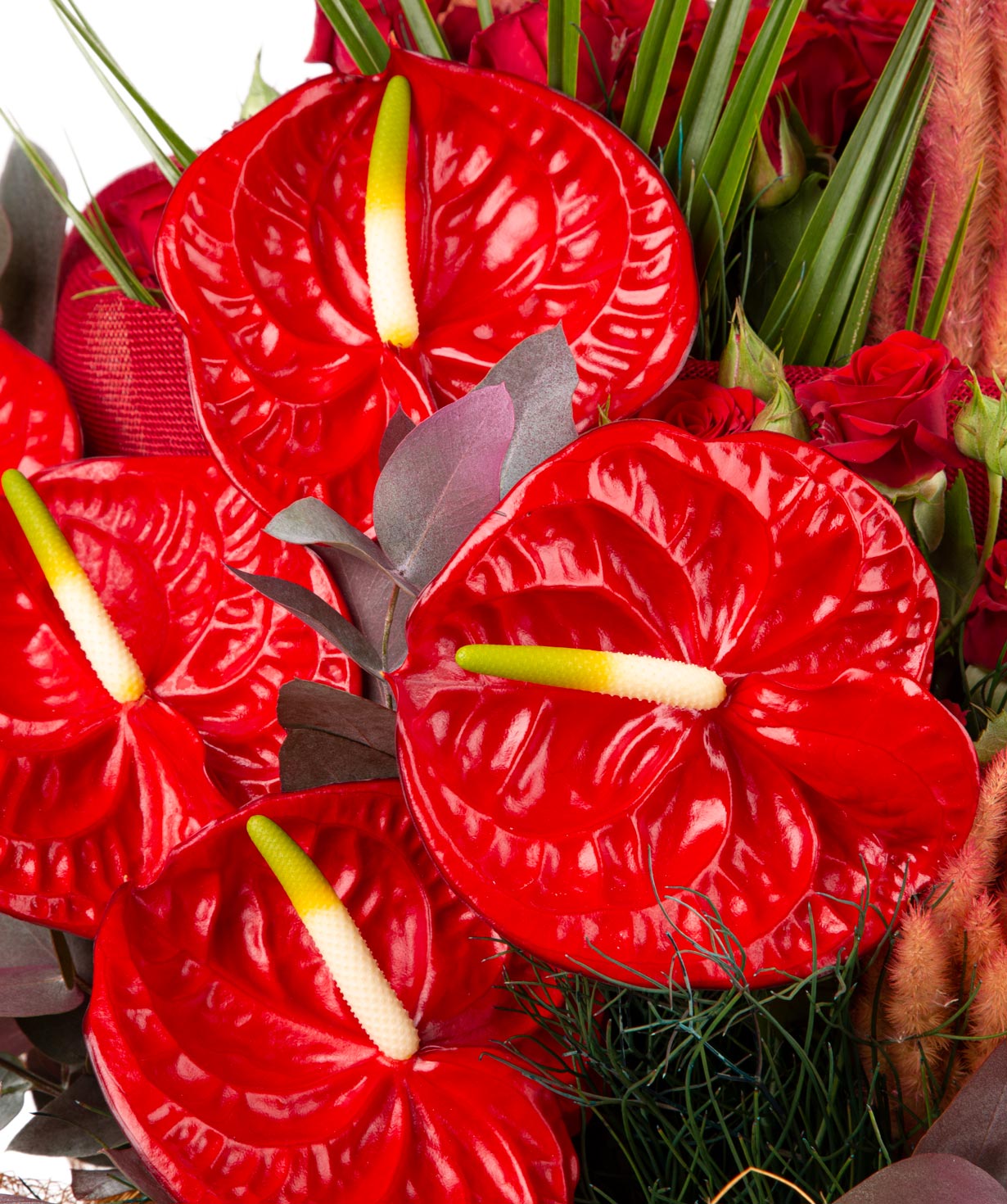 Bouquet  `Stolin` of roses, anthurium, dried flowers