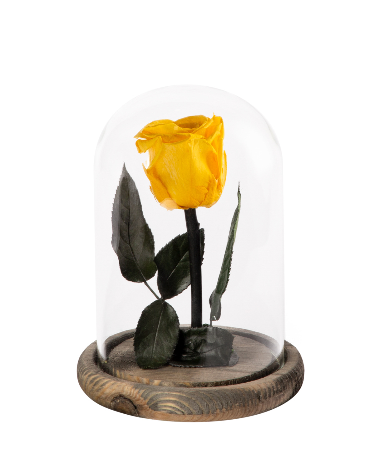 Роза `EM Flowers` вечная 17 см желтая