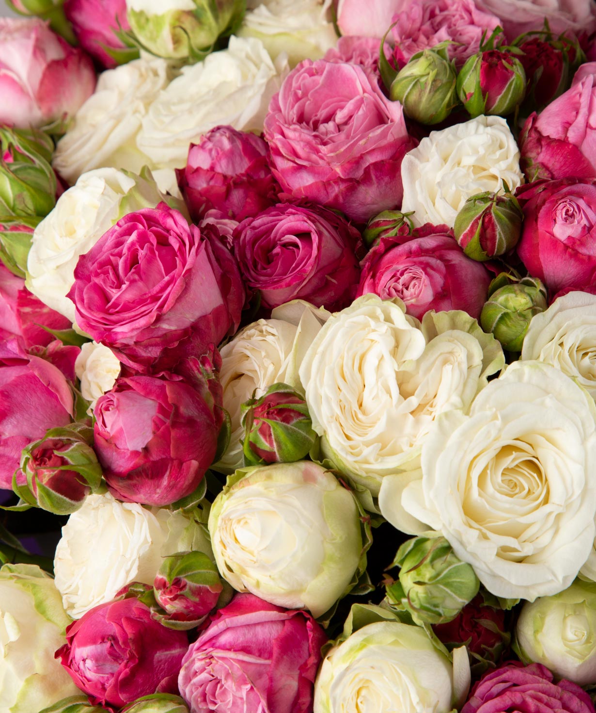 Ծաղկեփունջ «Թեոդոսիա» փնջային վարդերով